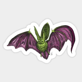 Townsend's Big-Eared Bat Sticker